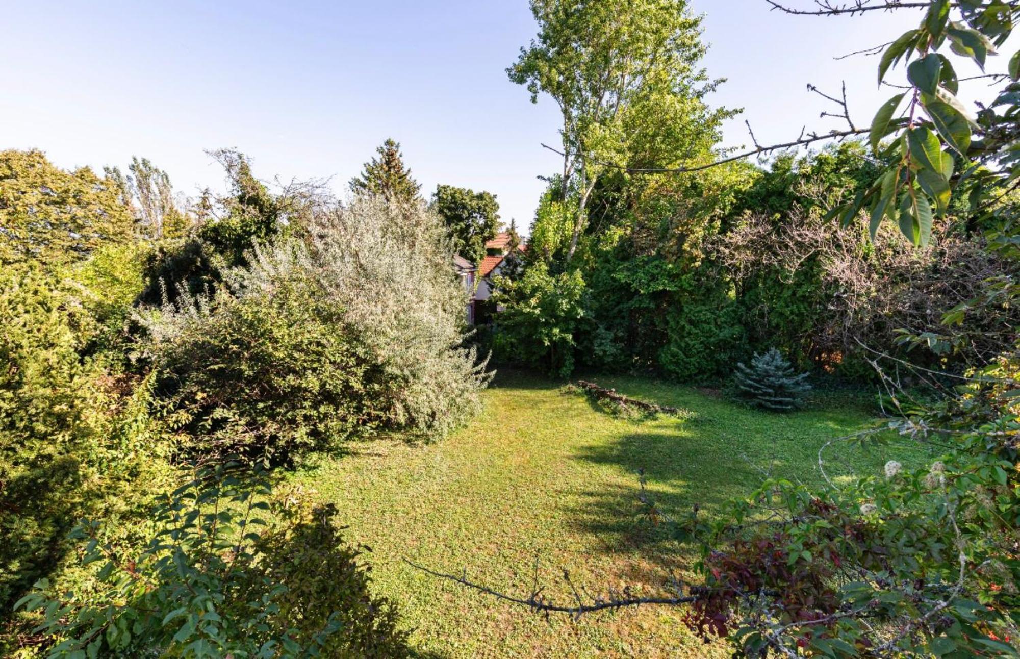 Maharaja Mountain Palace With Free Privat Parking And Garden Budapest Exteriör bild