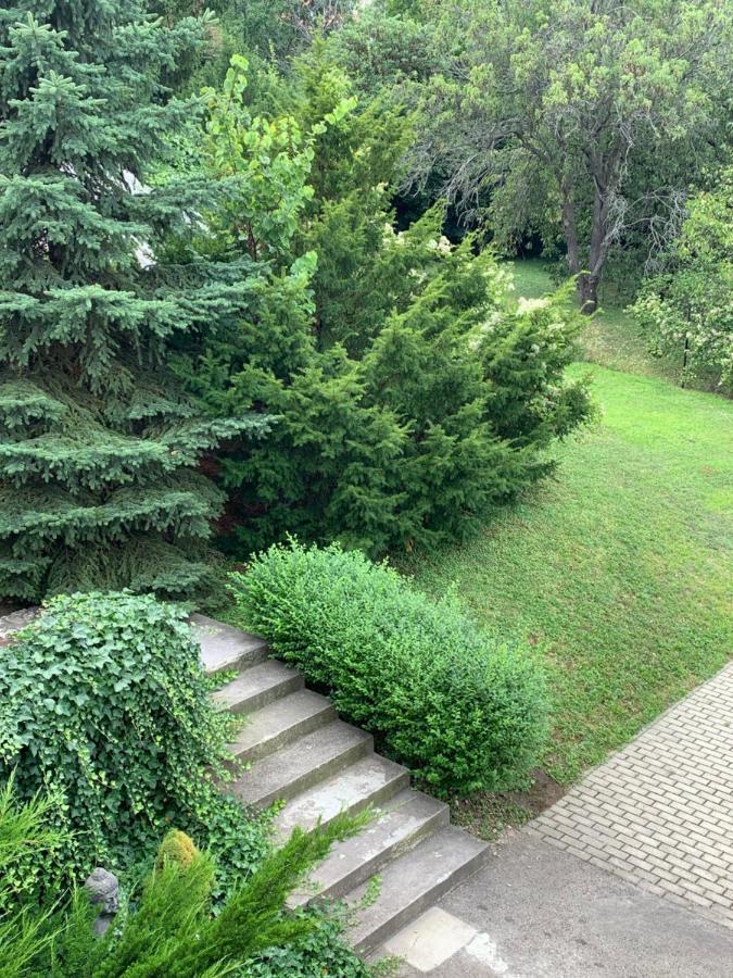 Maharaja Mountain Palace With Free Privat Parking And Garden Budapest Exteriör bild